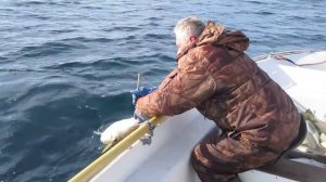 Морская рыбалка.Остров Кильдин март 2012-1
