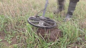 Чешуйки,кистень и другое с EQUINOX 600