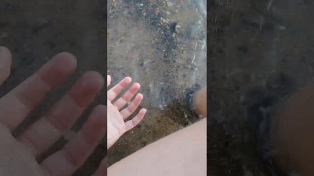 завтра идём в зоопарк смотреть онлайн