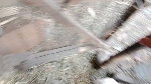 утка упала на ноги / решение ! лекарство для уток .