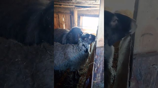 Куда пропал мужчина смотреть онлайн