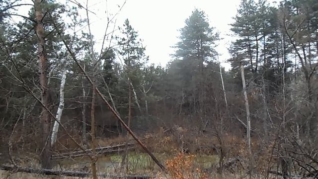 26 декабря - Евстратиев день. Опасный день . Запреты этого дня и  народные приметы