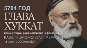 Тора с комментариями рава Гирша | Глава Хуккат | раввин Шломо Зелиг Аврасин