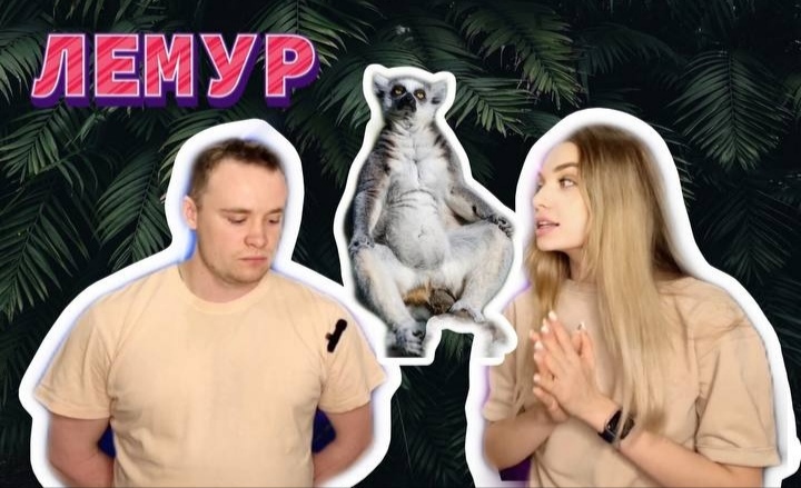 Животный мир. Лемур.