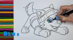 Coloring for children/SKYE and EVEREST/Paw Patrol/Colorama