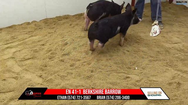 EN 41-1 Beaman 3/5/2024 Sale смотреть онлайн