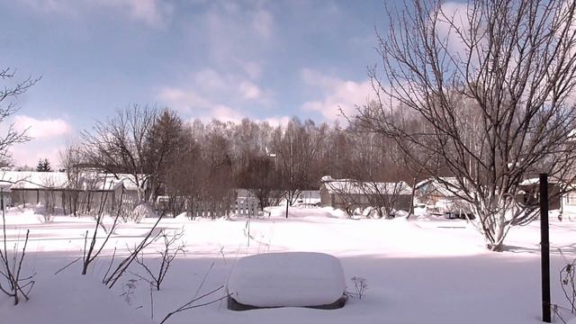 Сад 2021 Весна Март смотреть онлайн