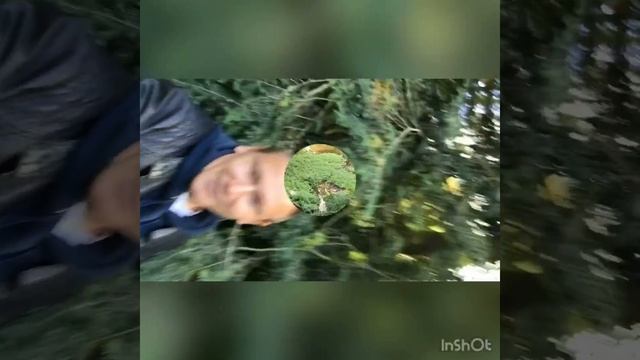 Поездка в Кассел Германия (Kassel). смотреть онлайн