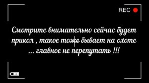 Открытие охоты на зайца с легавой Бретонским эпаньоль и Английский сеттер !
