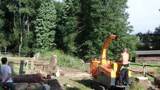 Lawson Cypress 1 смотреть онлайн