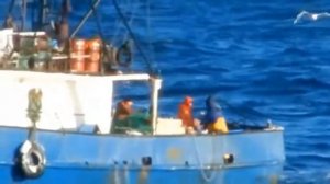 Мурманские прибрежники попались на ловле крабов