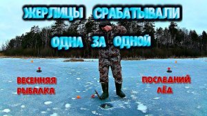 ✔️ Жерлицы срабатывали одна за одной Последний лёд в Нижегородской области