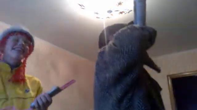 2 придурка поют Бутырку смотреть онлайн