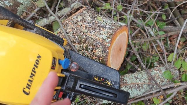 Бензопила Champion 241 - бюджетная с характером смотреть онлайн