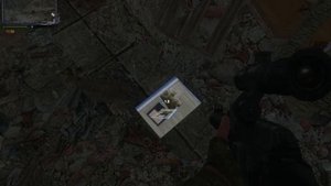 Сталкер Альтернатива за вольного сталкера Призраки Западной Припяти.