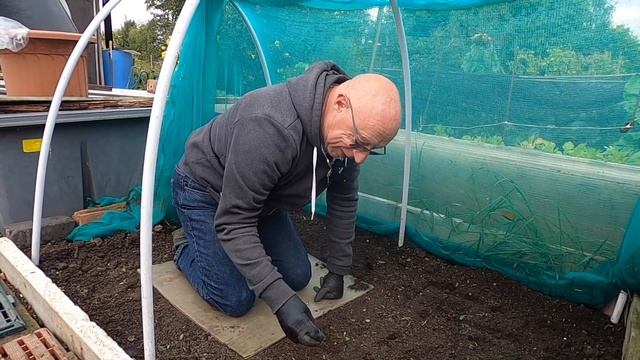 ?300 ? PLANTING WINTER BRASSICAS ? PREPARING FOR WINTER ? смотреть онлайн