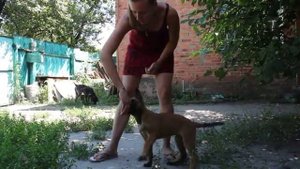 Первые занятия с щенком. Учим команду рядом. Как правильно учить с щенком команду рядом?