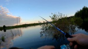 Тест драйв AIKO BUTCH BTC190M