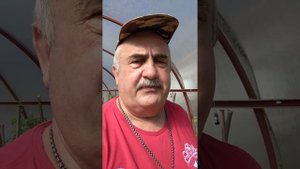 Про помидоры песня.