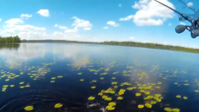 Заброс- Щучка/ Ловля на спиннинг с мультипликаторной катушкой Касткинг Стелс смотреть онлайн