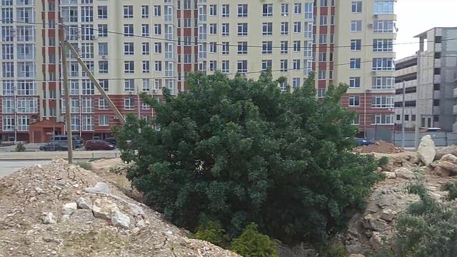 Челнокова 20/4, 10 соток 8 млн. 89787145862 смотреть онлайн