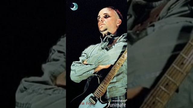 *Paul Landers* смотреть онлайн