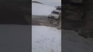 весна трэкол