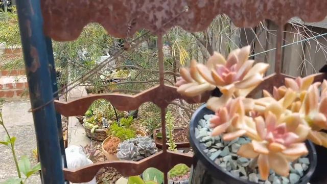 Feliz Navidad Amigos!!! Muchas gracias por todas las muestras de cariño a mi canal y a mi persona🎄 смотреть онлайн