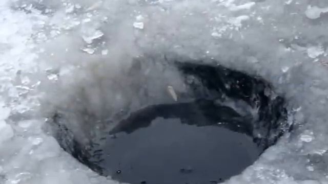 Улов смотреть онлайн