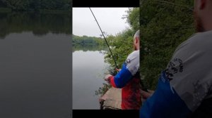Рыбалка летом.