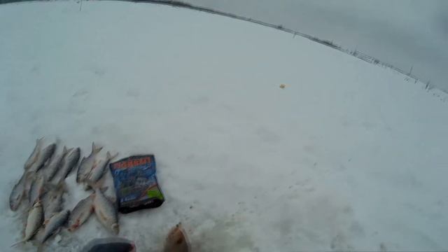 Тестирование прикормки FISH BAIT SPORT (ПЛОТВА) смотреть онлайн