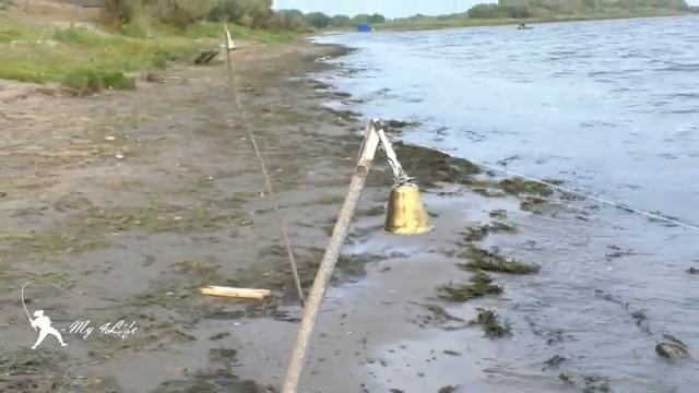 ПЛОХАЯ РЫБАЛКА ч2. ЖДАЛ ЕГО, а ПРИШЛИ ОНИ. РЫБАЛКА на ЗАКИДУШКИ и МАКУШАТНИК на АХТУБЕ в сентябре 2 смотреть онлайн