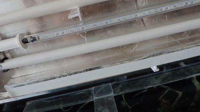 Крышка и свет в моем 200 литровом аквариуме смотреть онлайн