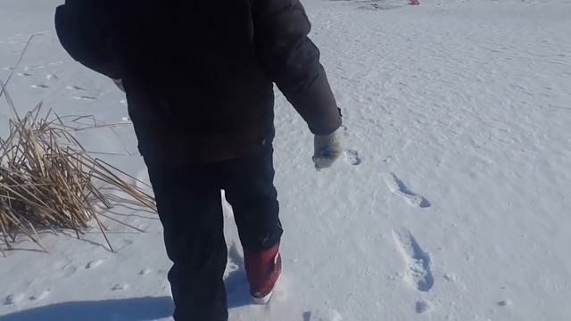 Было клёво, но клёва не было. Кызылорда 09.02.2017 42, калгашка... смотреть онлайн