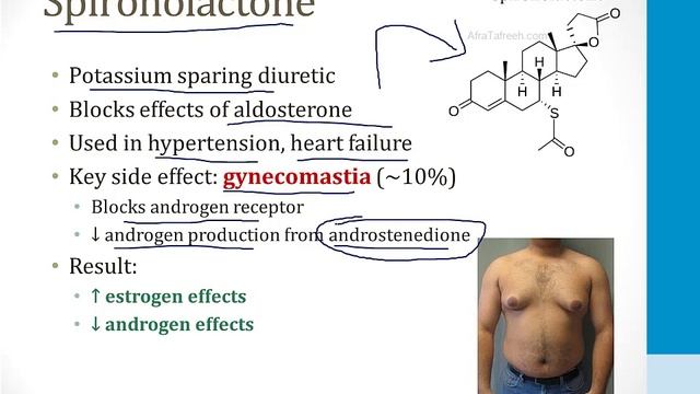 Эндокринология USMLE - 4. Репродуктивная - 2.Мужские репродуктивные гормоны