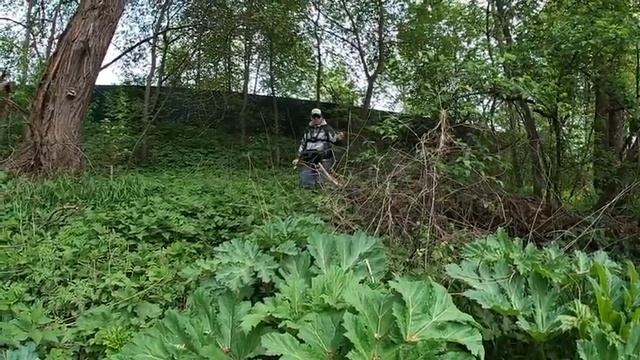 Ловля Голавля на Кренки | Рыбалка Весной | Спиннинг с берега