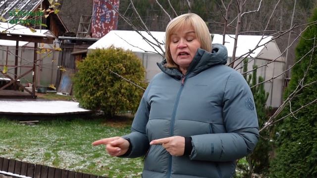 Подзимний посев МОРКОВИ! Советы от ЗЕЛЕНОГО ОГОРОДА!
