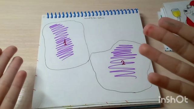 распаковка бумажных сюрпризов//спустя 2 месяца смотреть онлайн