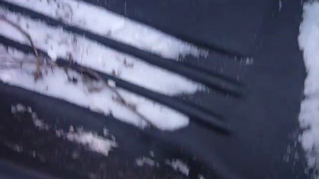 поездка на мотособаке 11 смотреть онлайн