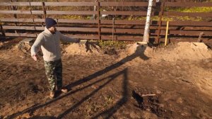 Начинаю строить овчарню