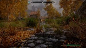 Skyrim SE Bugs: NPC Follower Goes For A Spin