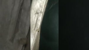 Замена фильтра салона. Ауди А3 8р