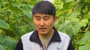 ВЫБИРАЕМ НИТРАТ КАЛЬЦИЯ! #агробизнес #удобрения #агроном #нитраткальция #кальций #нитрат #теплица