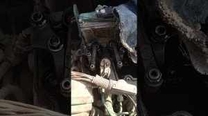 Engine d7e how to timing