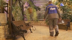 ЗАПОЛЯРНЫЙ ОАЗИС / Чем занимаются садовники и агрономы на Крайнем Севере