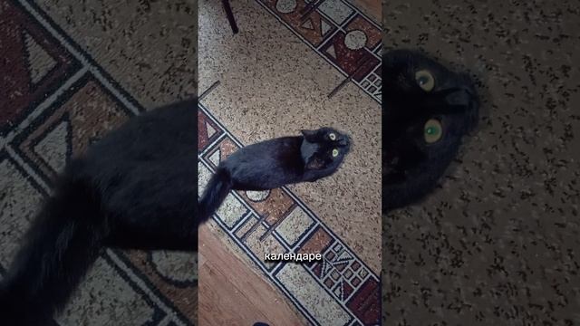 А за окном море!