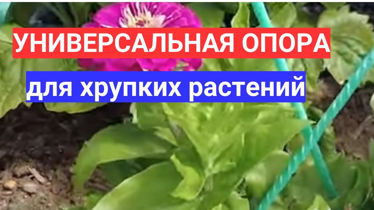 НАДЕЖНЫЕ  КОЛЫШКИ ДЛЯ ПОДВЯЗКИ ТОМАТОВ и  ЦИННИЙ - ОПОРА ДЛЯ ХРУПКИХ РАСТЕНИЙ