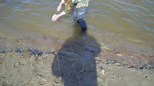 Ахтуба .Мангут.Весна.