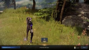 Всё о Lost Ark ✖ Лесная баллада в Lost Ark 2.0