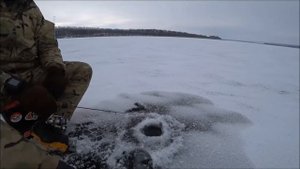 САМЫЙ ЛУЧШИЙ способ ловли ОКУНЯ СО ЛЬДА на вертикальный джиг и приманку Fishup Tanta.